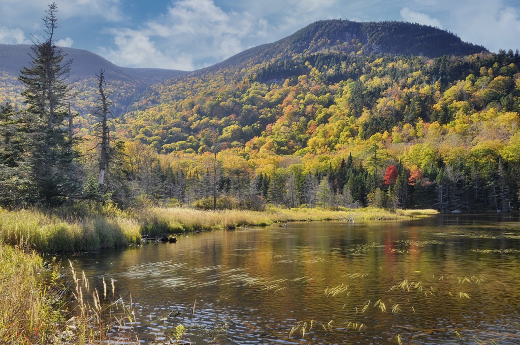 Autumn scene in white mountain national forest of new hampshire